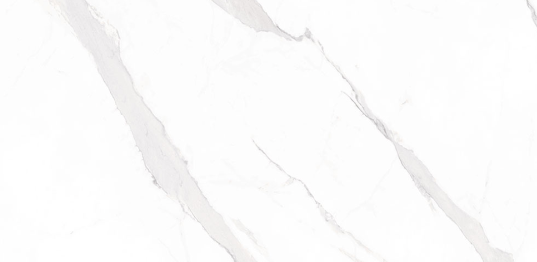 Statuary Blanco 120x60